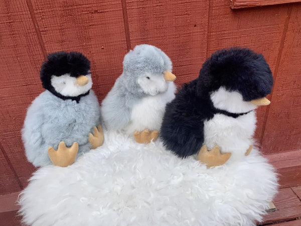 Alpaca Stuffed Toy - Teenage Penguin